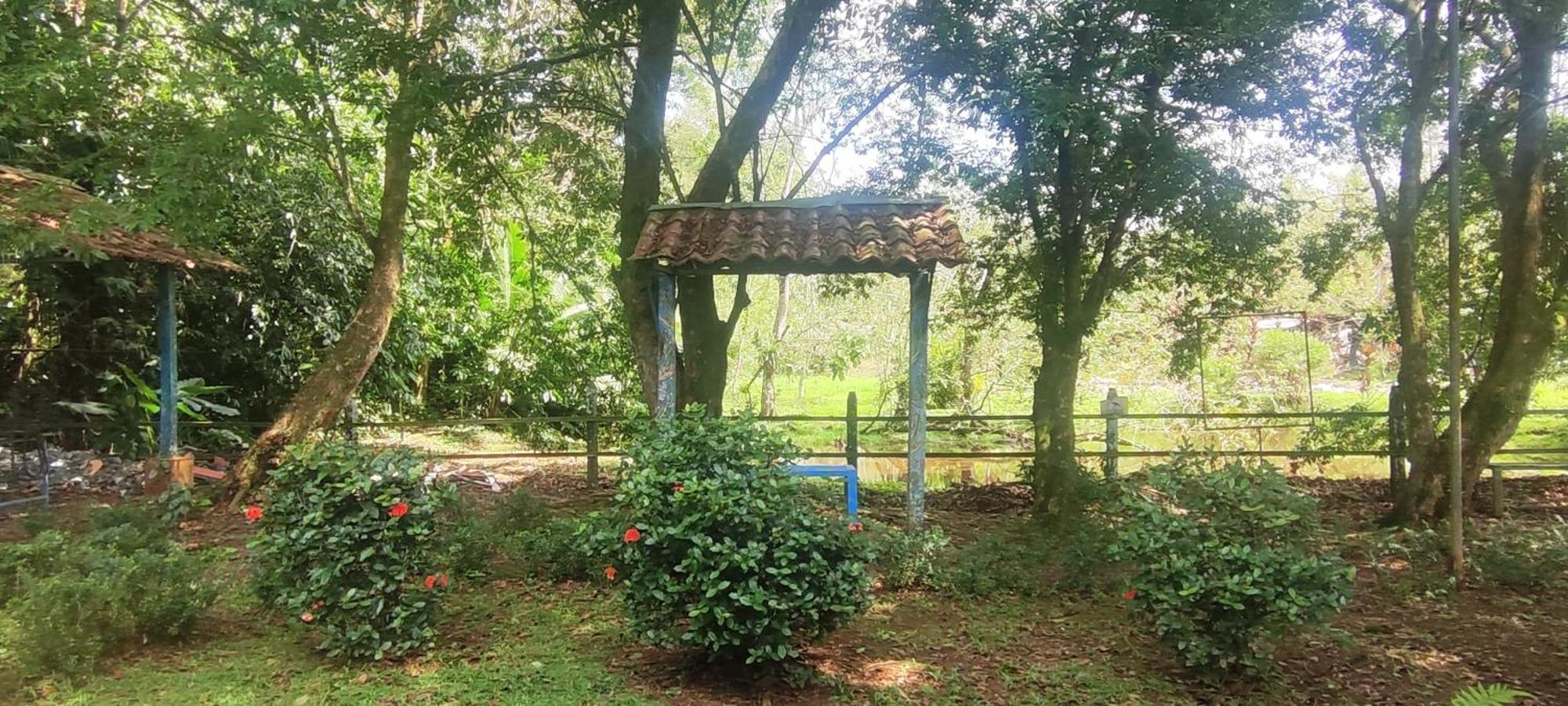 Hotel Maguey Tigre  Exteriér fotografie
