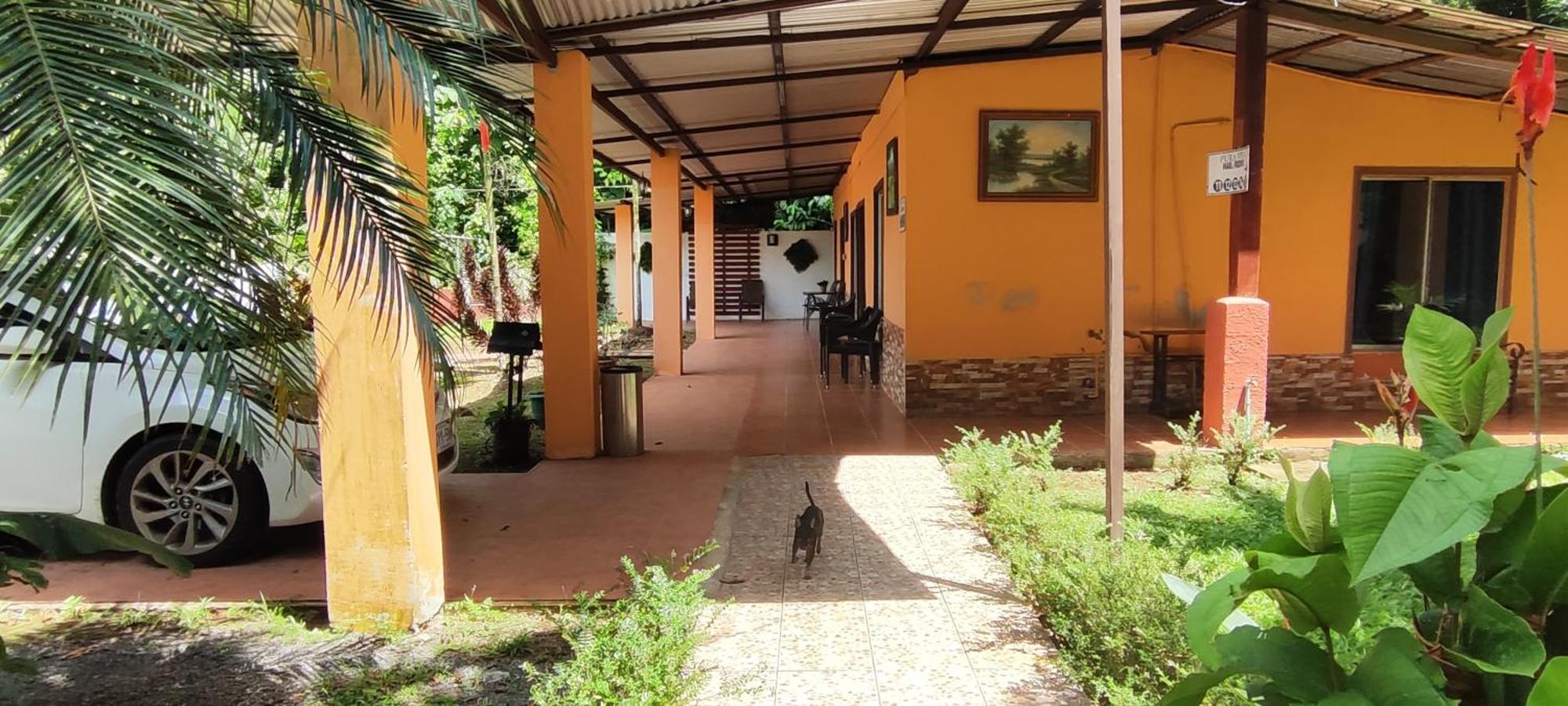 Hotel Maguey Tigre  Exteriér fotografie