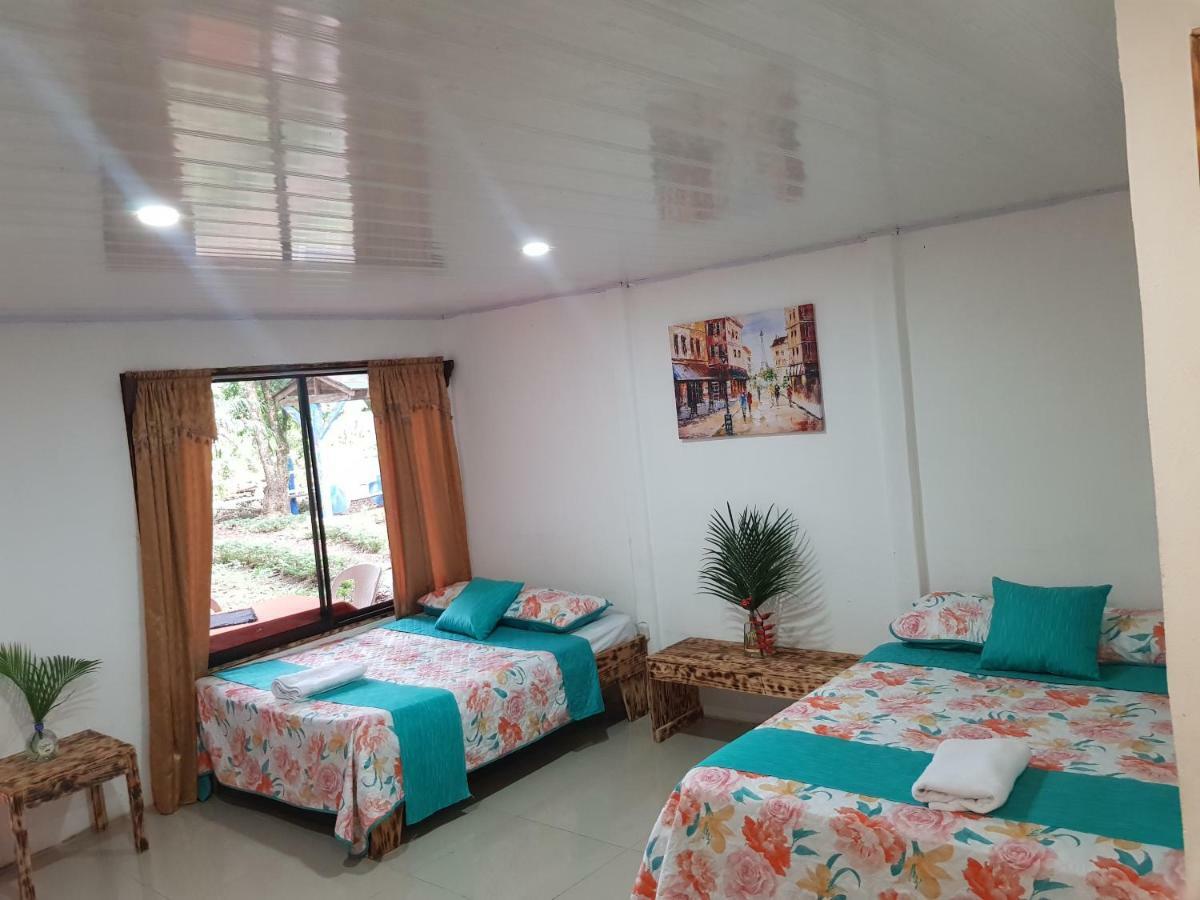 Hotel Maguey Tigre  Exteriér fotografie